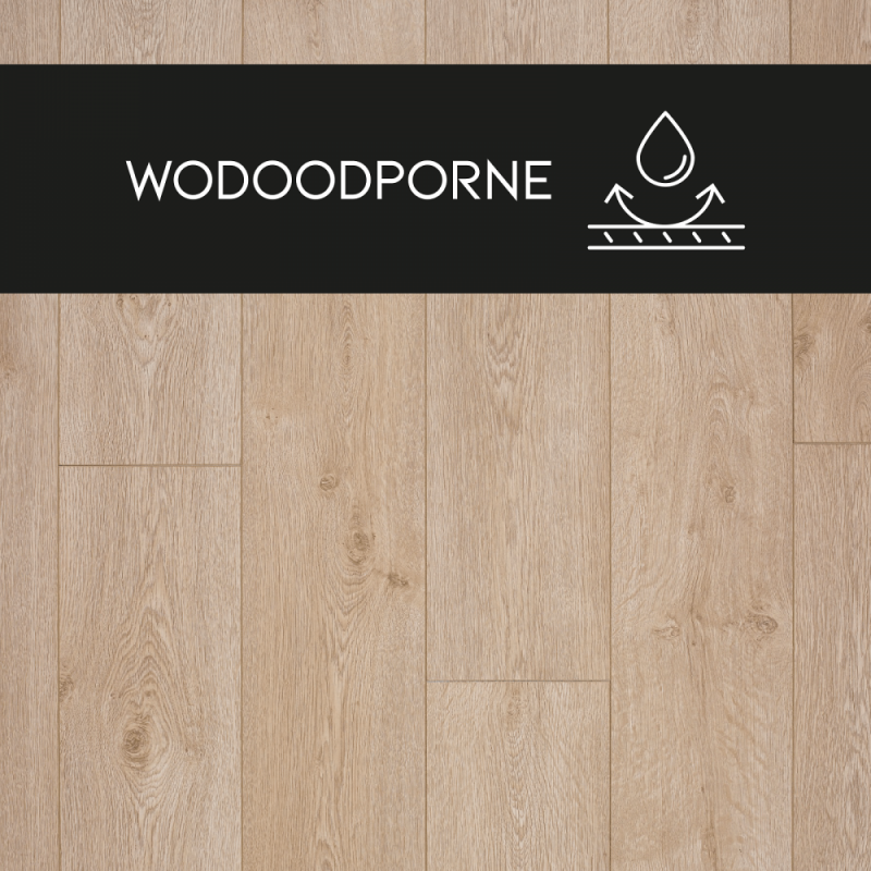 Panel laminowany Dąb Spokojny 88237 PREMIUM FLOOR