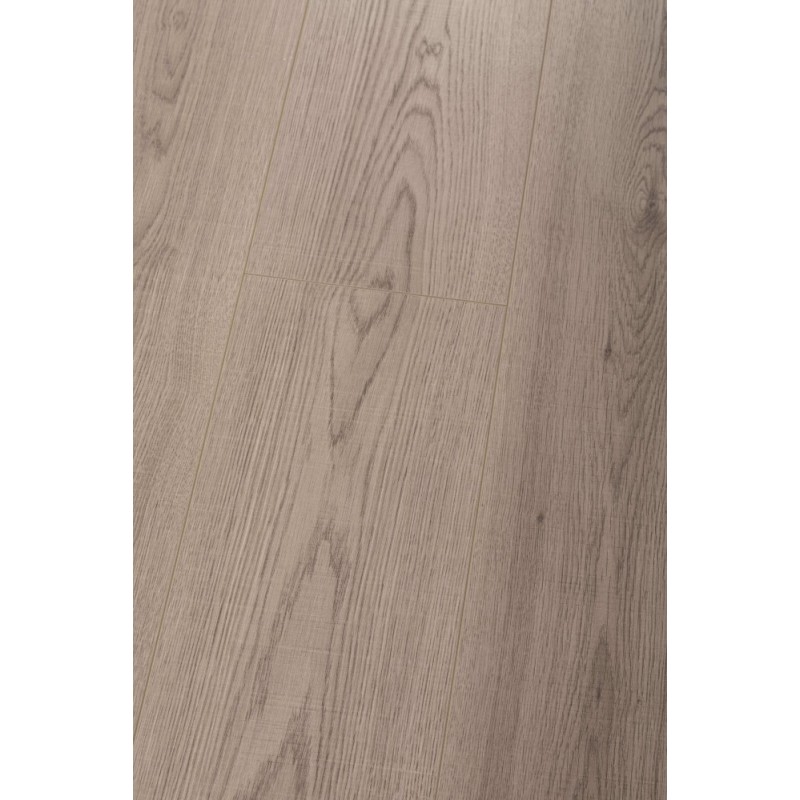 Panel laminowany Dąb Szlachetny 88492 PREMIUM FLOOR