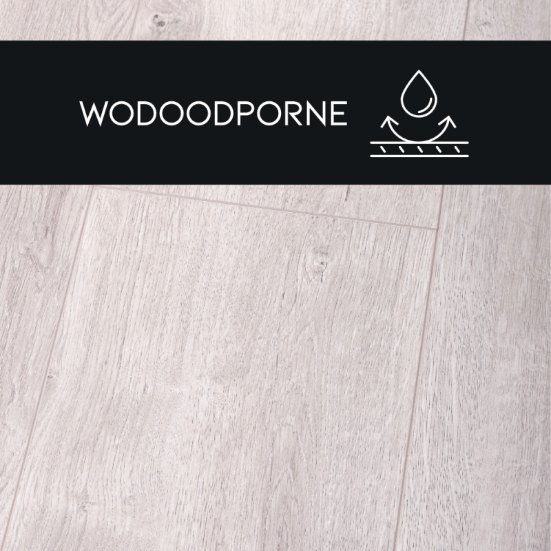 Panel laminowany Dąb Biały 88743 PREMIUM FLOOR